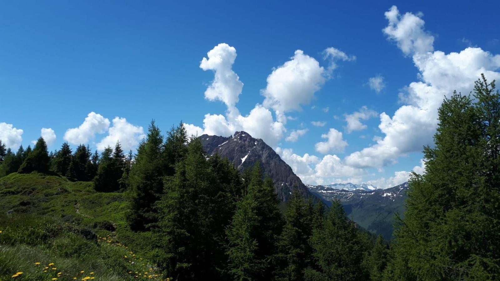 Ferienhaus Willms Am Gaisberg Kirchberg in Tirol Buitenkant foto
