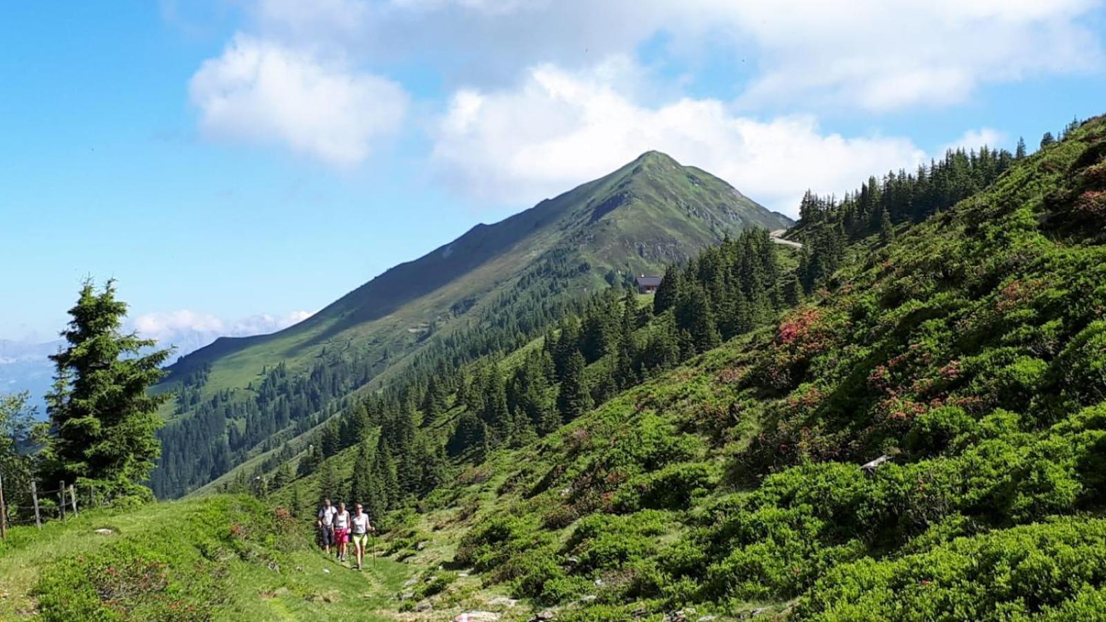 Ferienhaus Willms Am Gaisberg Kirchberg in Tirol Buitenkant foto